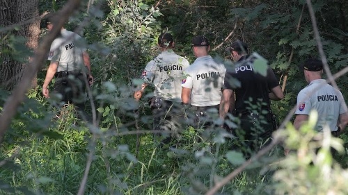 Policajti po nájdení ľudskej hlavy pri cyklotrase pri Prístavnom moste v Bratislave prečesali okolie. 