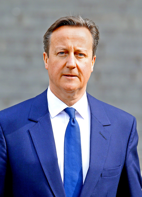 David Cameron, britský premiér.