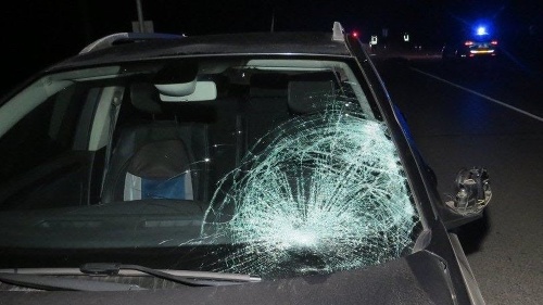 Ženu († 47) z obce Predmier (okres Bytča) zrazilo toto osobné auto, ktoré šoféroval vodič (38) z Nového Mesta nad Váhom.  