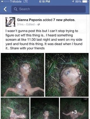 O zvláštny nález sa žena podelila na Facebooku.