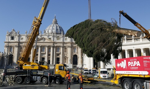 Žeriav zdvíha vianočný strom na Námestí sv. Petra 19. novembra 2015 vo Vatikáne.