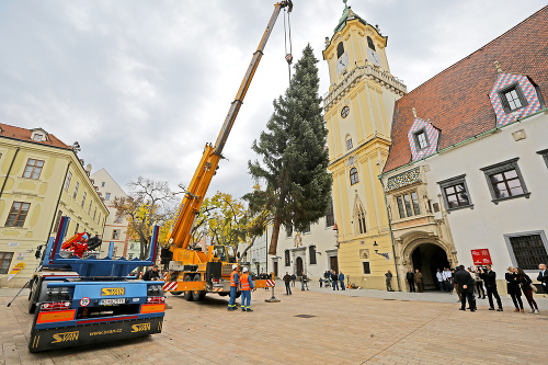 Námestie: 11:25 hod. Hlavné námestie bude smrek zdobiť počas celých vianočných trhov.