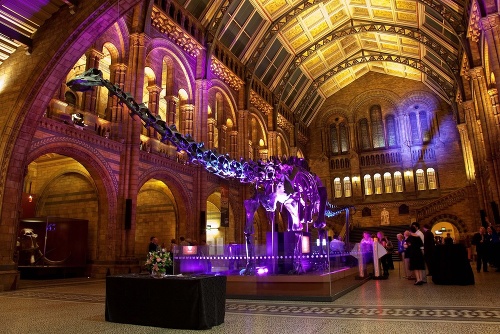 Obrovská kostra diplodocusa vo foyeri londnýnskeho múzea.