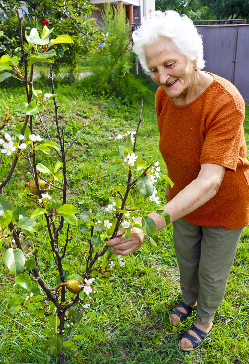 Štefánia Richterová pri hruške, ktorá na jeseň rozkvitla.