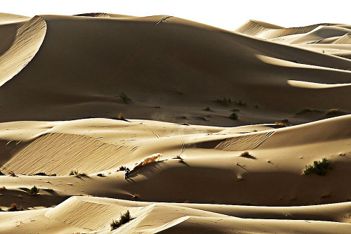 Štefan Svitko si v marockých dunách poriadne precvičil navigáciu.