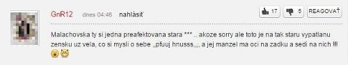 Drsné komentáre na účet Malachovskej.
