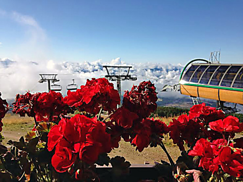 Na Chate pod Soliskom (1840 m n.m.) turistov aj teraz vítajú muškáty, ktoré sa ale na noc odkladajú. 