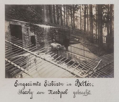 1909 - Časť Rímskeho vodopádu s ohradeným bazénom, kde Andrássyovci chovali ľadové medvede.