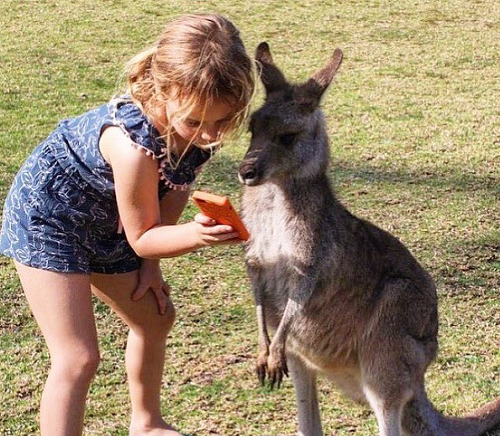 Emme sa skamarátila s kengurou.