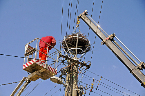 Elektrikári premiestnili hniezdo na bezpečné miesto v časti Nová Stráž.