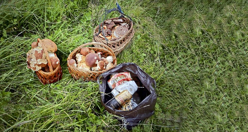 Huby i neporiadok: Z lesa sme priniesli bohužiaľ aj plnú igelitku odpadkov, najmä plechovíc od poľského piva.