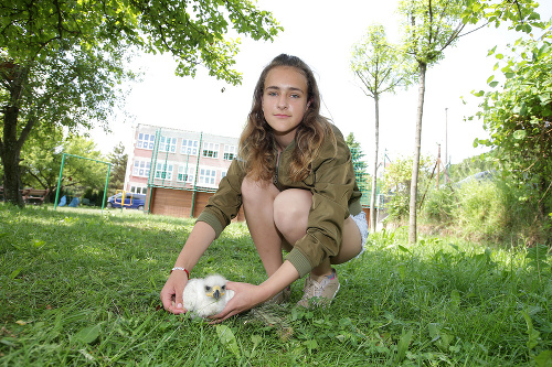 Sarah (13) sa o orlíča príkladne stará.
