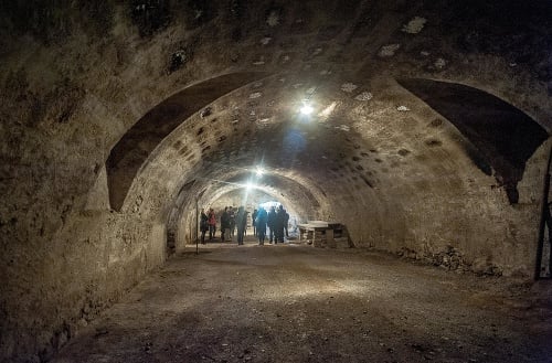 Ďalšou významnou investíciou bude rekonštrukcia podzemných pivníc, z ktorej chce múzeum spraviť viacúčelový priestor.