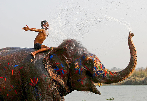 Takýto sloní kúpeľ si návštevníci môžu vyskúšať.