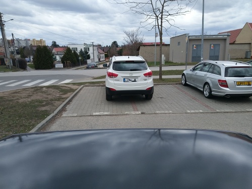 Takto pekne medzi dve parkovacie miesta sa nepodarí zastaviť hocikomu.