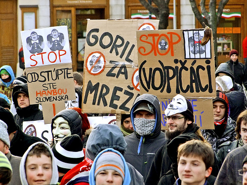 Kauza Gorila rozpútala masové protesty.