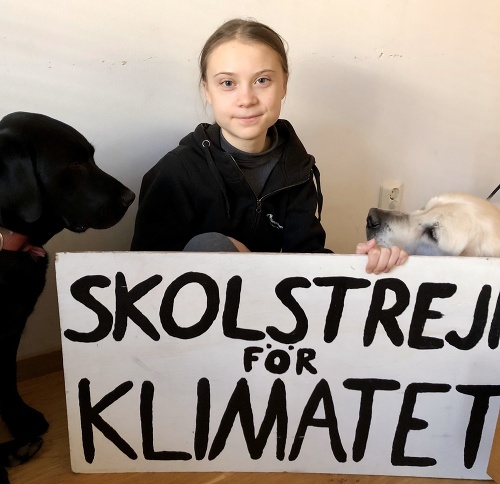 Švédska klimatická aktivistka Greta Thunbergová štrajkuje doma. 