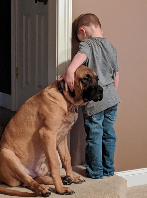Chlapec a jeho pes sú nerozlučná dvojica.