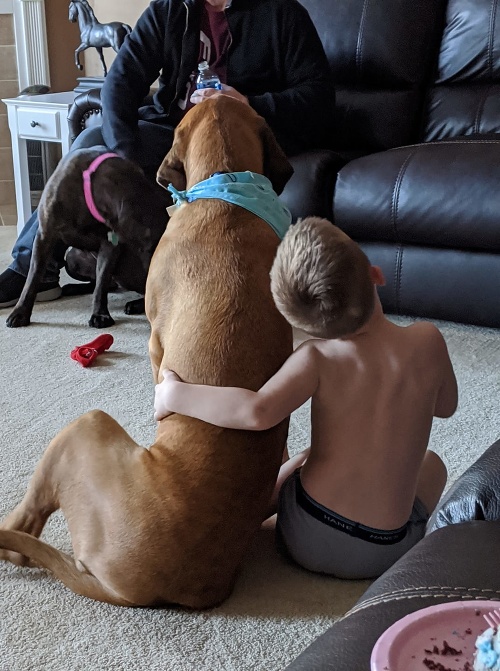 Chlapec a jeho pes sú nerozlučná dvojica.