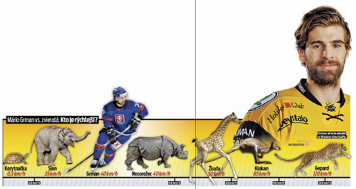 Talentovaný obranca ani len netušil, že korčuľuje tak rýchlo ako vo zvieracej ríši behajú pes, líška, jeleň či nosorožec.