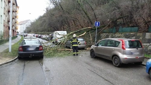 Hasiči musia zasahovať kvôli popadaným stromom.