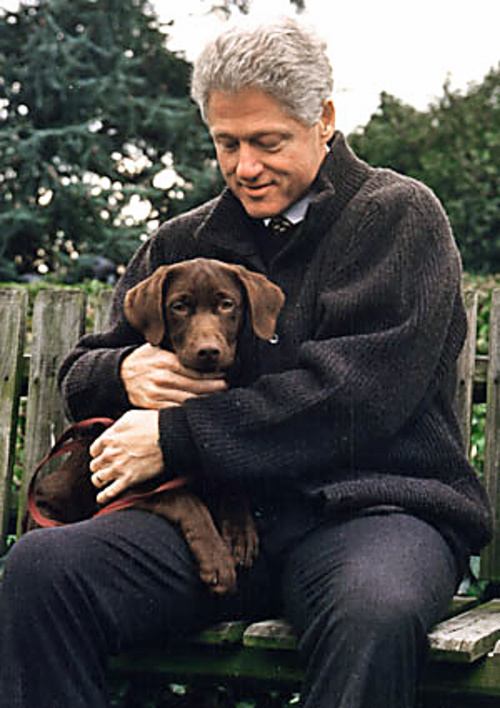 Labrador Buddy a Bill Clinton