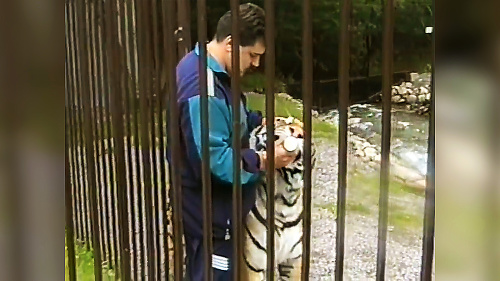 Krotiteľ tigrov: Šelmy patrili k imidžu bossa v 90. rokoch. 