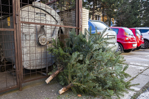 Vyhodené vianočné stromčeky pri stojiskách smetných nádob na Dolných honoch 31. decembra 2019 v Bratislave.