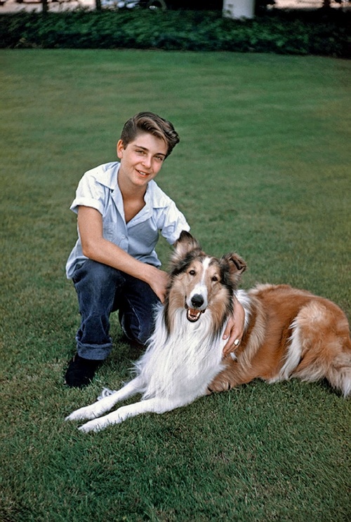 Herci: Tommy Retting v roku 1956 s jedným zo psích predstaviteľov Lassie.