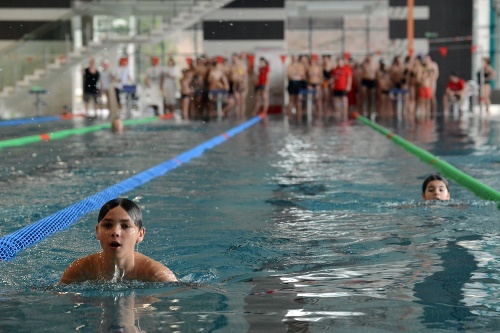 Účastníci 23. ročníka podujatia Banskobystrická plavecká 24-hodinovka na plavárni Štiavničky.