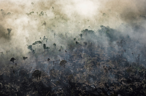 Požiare: V r. 2019 pustošili Amazonský prales - pľúca našej planéty. 