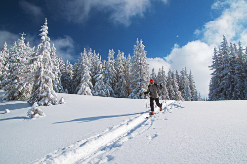 Bežkovanie: Panenským snehom na Prednej holi. 