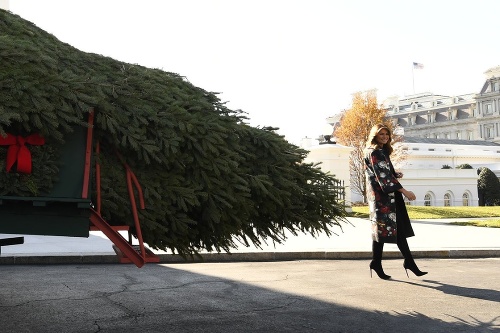 Prvá dáma si prevzala vianočný strom.