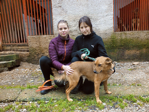Michaela Miturová (15, vpravo) a Monika Bolačeková (18) so psíkom v rožňavskom útulku