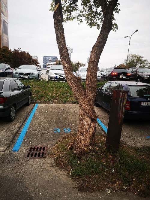 Nevyužiteľné parkovacie miesto si všimol náš čitateľ.