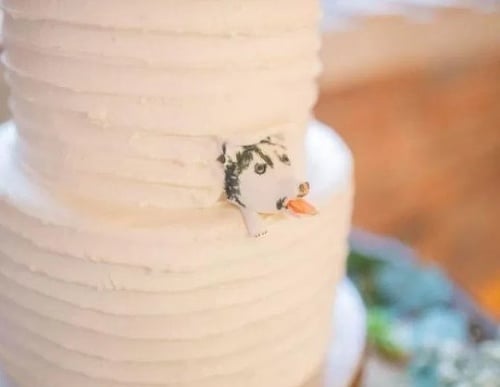 Takto si svadobnú tortu nepredstavovala. 