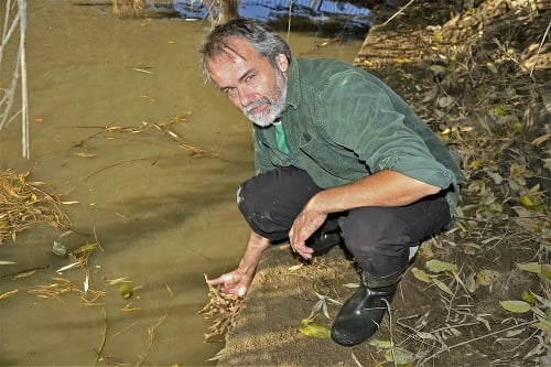 Sladkovodná  hubka v Mlynskom  náhone prekvapila  miestnych prírodovedcov