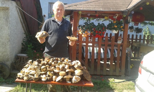 Tibor s manželkou nazbierali vyše 100 húb pri obci Boťany.