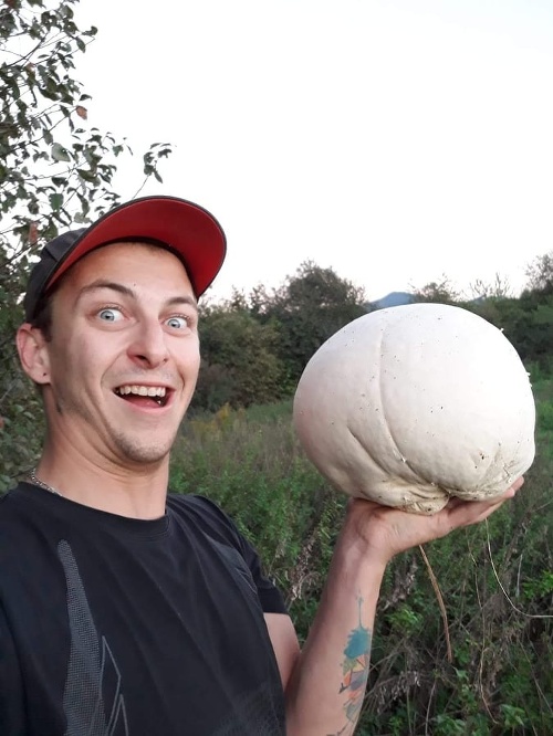 Vlado  našiel vatovec veľký ako  hlava.
