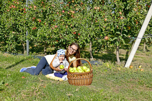 Ivana (29) nabrala synčekovi Šimonkovi plný košík jabĺk.