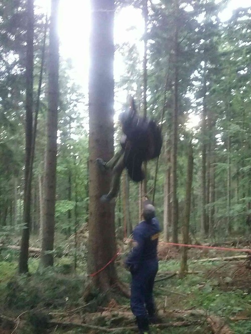 Paraglajdista sa zachytil na strome vo výške 15 metrov.