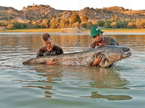 Matej a Michal vylovili obrovskú rybu na rieke Rio Ebro. Sumec meral až 220cm a vážil 80kg.