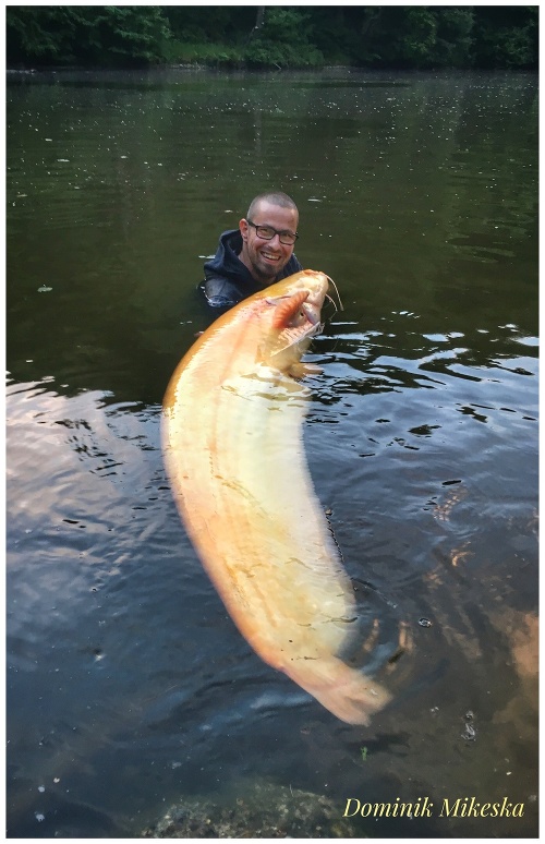 Dominik ulovil takmer dvojmetrovú zlatú rybku!