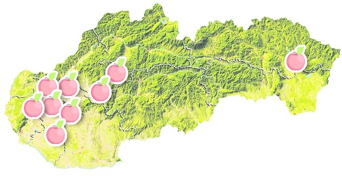 Miesta, na ktorých nazbierate chutné ovocie