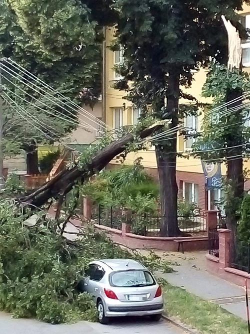 Takto to v pondelok vyzeralo vo Vrbovom pri Piešťanoch.