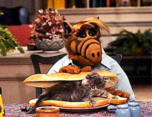 Alf sa v takmer každej časti pokúšal zjesť rodinnú mačku.