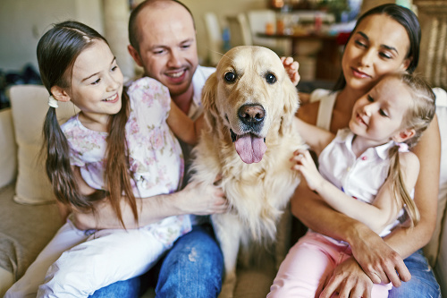 Rodinný miláčik: Ale pozor na psie parazity, aby nenarobili zdravotné problémy aj vám.