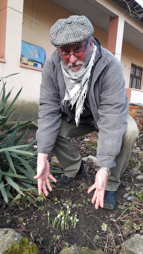 Jozef Garlík (67) sa tešil zo snežienok v záhradke.