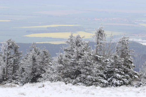 Snehom pokryté stromy a lúka na kopci Brocken neďaleko obce Schierke v Nemecku.
