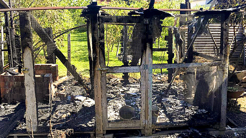 Krásne poľovnícke psy zhoreli v podpálenom koterci.